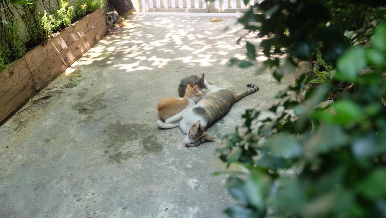 Nha Homestay Đà Nẵng Exterior foto